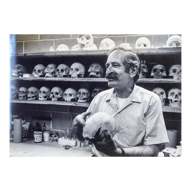 Late 20th Century Skull Storage Photograph For Sale