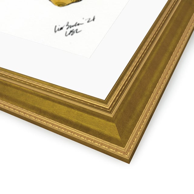 Shells II by Lia Burke Libaire in Gold Frame, Small Art Print | Chairish