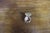 Victorian Ring Box With Bird & Floral Decoration For Sale - Image 4 of 9