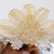 Glass Venetian Mirror in Murano Glass Adorned with Gold Details and Flowers, 1960s For Sale - Image 7 of 12