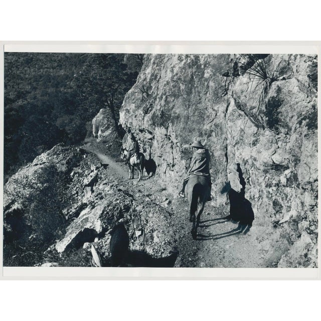 1960s Cowboys on Horses, USA, 1960s, Black & White Photograph For Sale - Image 5 of 5