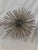 Large mid-century, modern vintage sea urchin or starburst. Great accent piece for anywhere in your home or office.