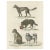 Mid 19th Century Schinz, lllustration of the Sheepdog and Other Dog Breeds, 1845, Print For Sale - Image 5 of 5