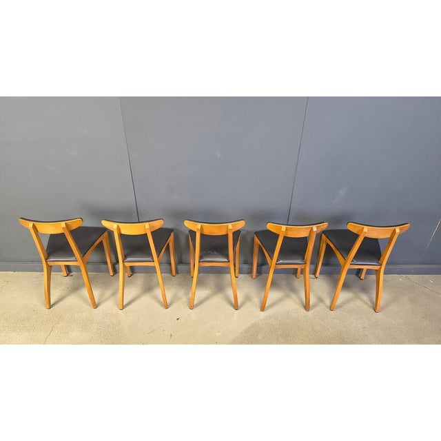 Wood Mid-Century Belgian Dining Chairs, 1960s, Set of 10 For Sale - Image 7 of 17