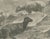 After Rosa Bonheur, Sheep in a Mountain Landscape, 1880, Photogravure For Sale - Image 6 of 9