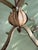 Vintage Italian Floral Tole Floor Lamp For Sale - Image 9 of 13