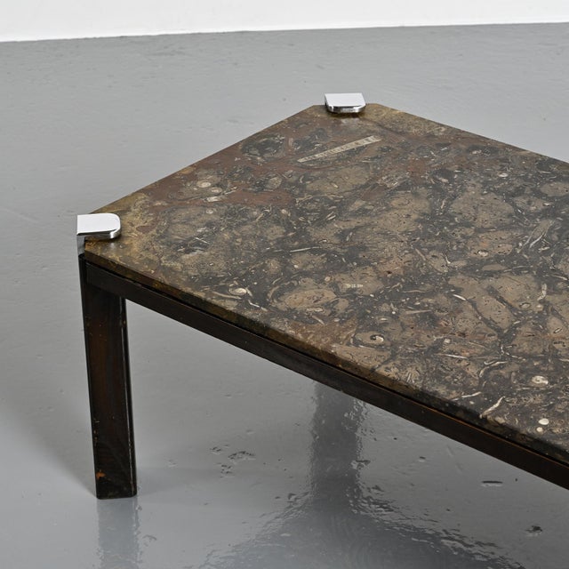 1980s Fossil Stone Coffee Table from Collection Fossile, Switzerland, 1980s For Sale - Image 5 of 9