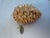 Rustic Pinecone Christmas Ornament by Katherine's Collection For Sale - Image 3 of 4