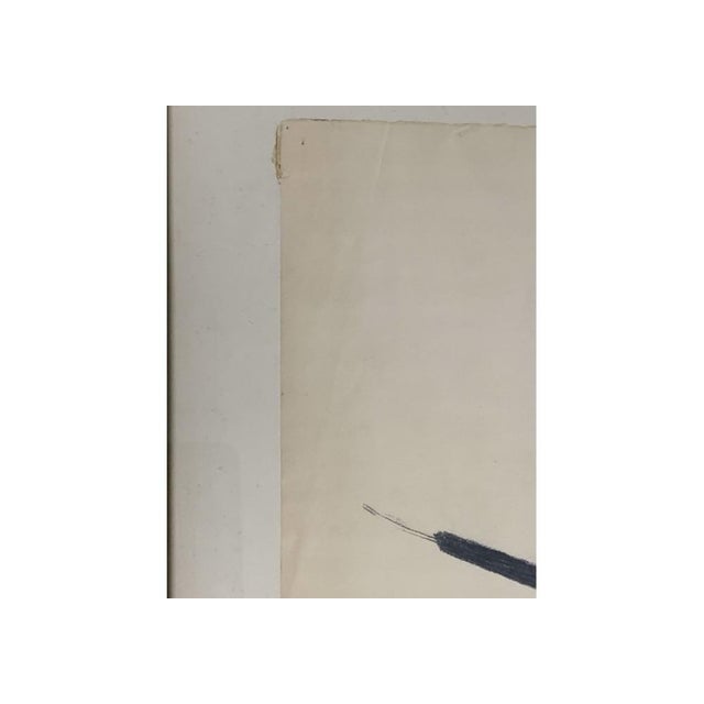 Mid-Century Modern 1960s Mid Century Modern Cattail Drawing by Bruce Dorfman (Am. Born 1936) For Sale - Image 3 of 11