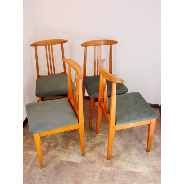 200/100 B Chairs by M. Zielinski, 1960s, Set of 4 For Sale - Image 6 of 7