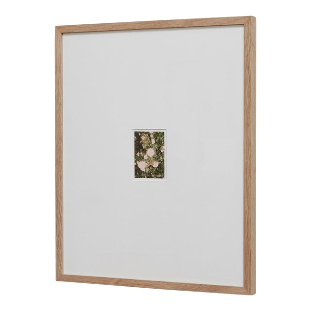 The Rose Garden Nº 32 Print by David Urbano, 2018 For Sale