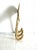 Mid-Century Modern Brass Mushrooms Triple Wall Hook For Sale - Image 3 of 7