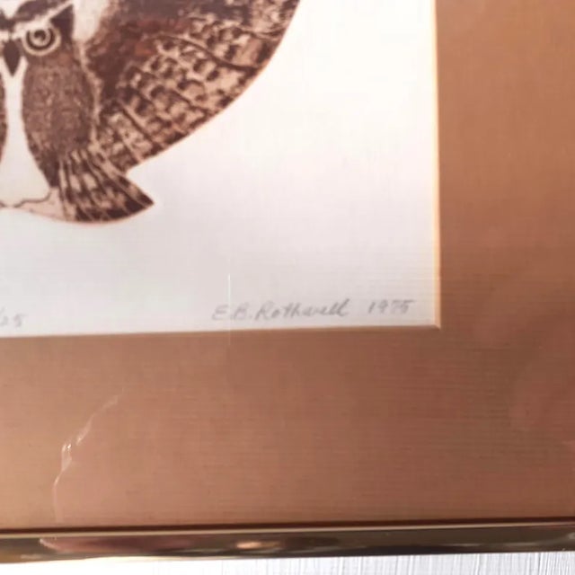 1975 Elaine B. Rothwell Original Etching "Two or Three Owls" - Framed 1/25 First Impression For Sale - Image 4 of 8