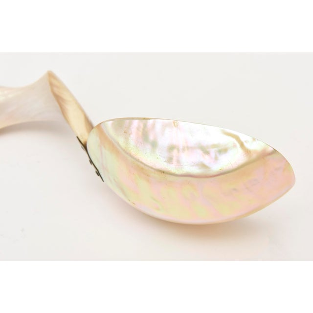 Vintage Coastal Mother of Pearl Organic Modern Twisted Serving Spoon 1980's For Sale - Image 9 of 10