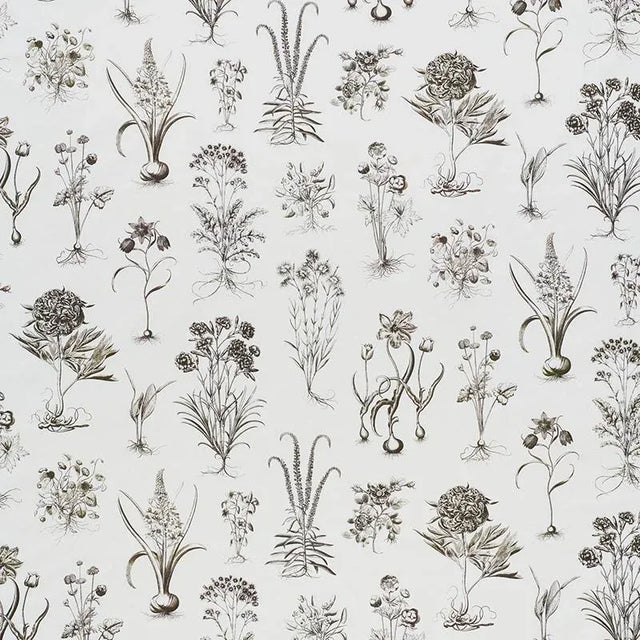 Sample - Schumacher Cabot Botanical Fabric in Ivory For Sale
