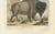 After Jacques de Sève, Bison Portrait, Hand-Coloured Print, 1769 For Sale - Image 3 of 10