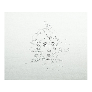 Contemporary Pen and Ink Portrait Drawing of Woman
