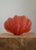 Vintage Sculptural Resin Shell Wall Sconce, 1970s For Sale - Image 18 of 18