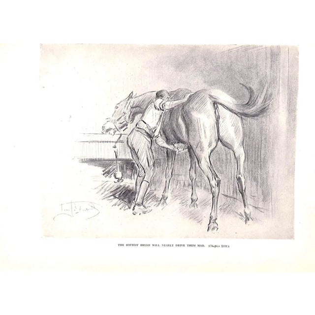 "Bridle Wise: A Key to Better Hunters - Better Ponies" 1949 Goldschmidt, Lt. Col. s.g. For Sale - Image 12 of 12