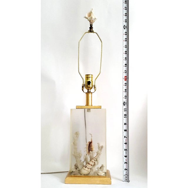 Transparent Lamp Shells Seashells Lucite Aquarium & Shade For Sale - Image 8 of 9