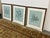 Coastal Soicher Marin Gallery Blue Ocean Coral Prints, Set of Three For Sale - Image 3 of 12