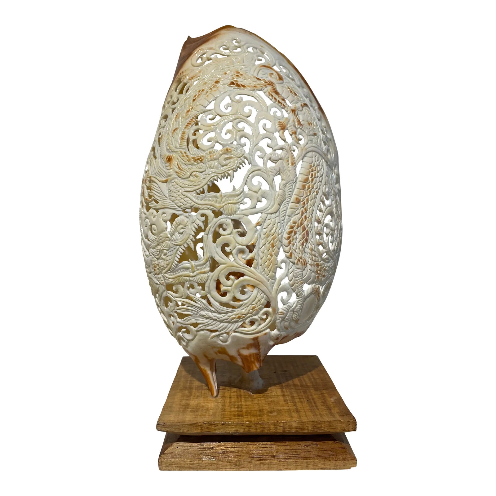 Large Handcarved Melo Amphora Shell Chairish