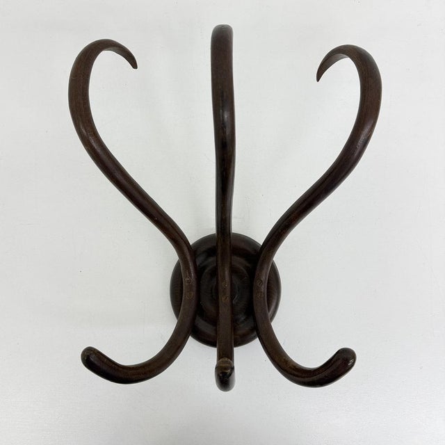 Antique Bentwood Wall Mounted Coat Rack, 1930s For Sale - Image 18 of 18