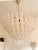 Huge Italian “Conchiglie” Murano Glass Gold Chandelier For Sale - Image 6 of 7