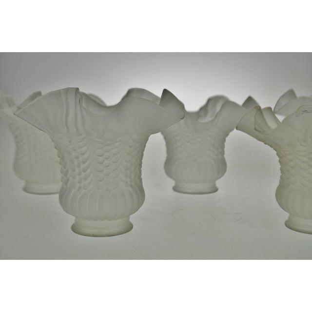 Vintage Victorian Style Ruffled Tulip Glass Lamp Shades Group of 5