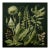 Dark Green Antique Botanical Garden Study No. 6 - Natural History Fine Art Print For Sale