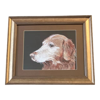 Contemporary Judy Henn Golden Retriever Dog Print Framed For Sale