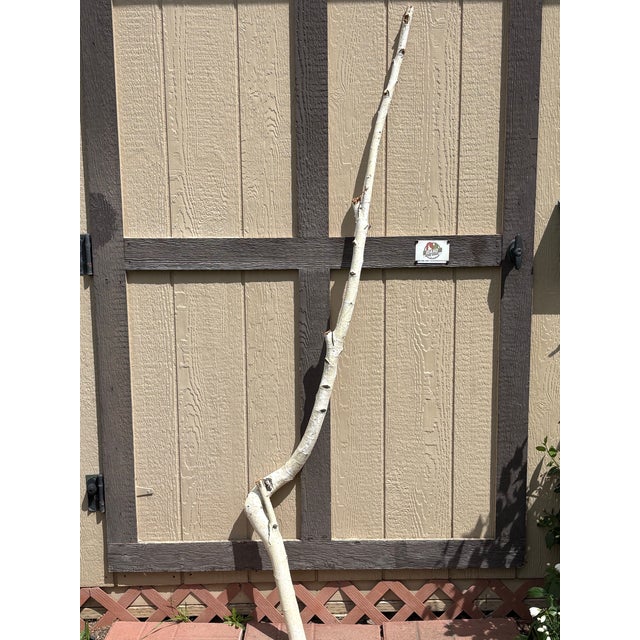 American Birchwood Branch Piece for Decoration, Style G For Sale - Image 3 of 3
