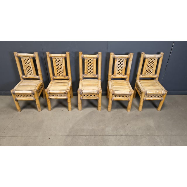 Boho Chic Chunky Bamboo Dining Chairs, 1960, Set of 5 For Sale - Image 15 of 16