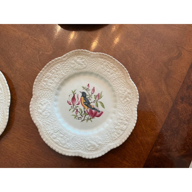 Royal Cauldon Bristol Ironstone “Aviary” Bird Plates by h.a. Pausch, Set of 8, Mid-Century For Sale - Image 9 of 13