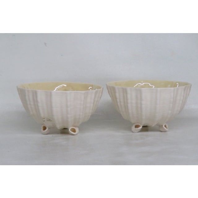 Belleek Bone China Neptune Sea Shell Shaped Bowls Seashell Feet a Pair