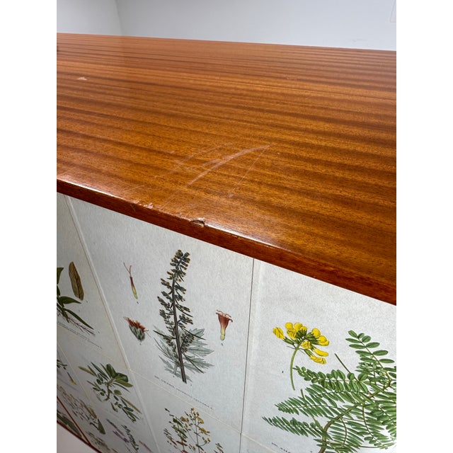 White 1950’s Swedish Cabinet With Nordens Flora Illustrations For Sale - Image 8 of 9