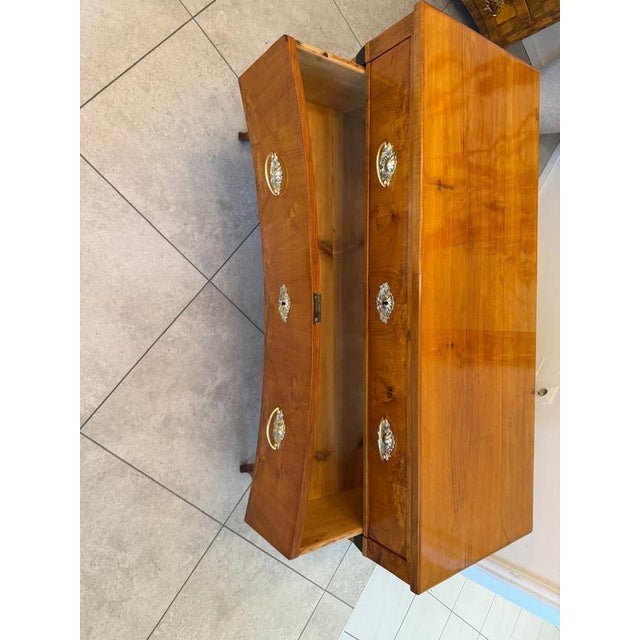 Brown Empire Biedermeier Chest of 3 Drawers For Sale - Image 8 of 9