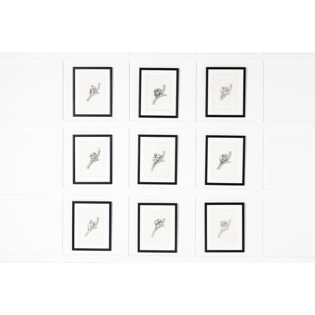 French Artist, Cathedral d'Auch, 1800s, Etchings, Set of 9 For Sale - Image 10 of 11