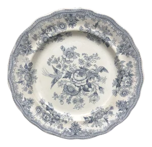 Mid 1800's English Asiatic Pheasant Dinner Plate