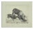 The Sow and Her Calves Etching, 1931 For Sale