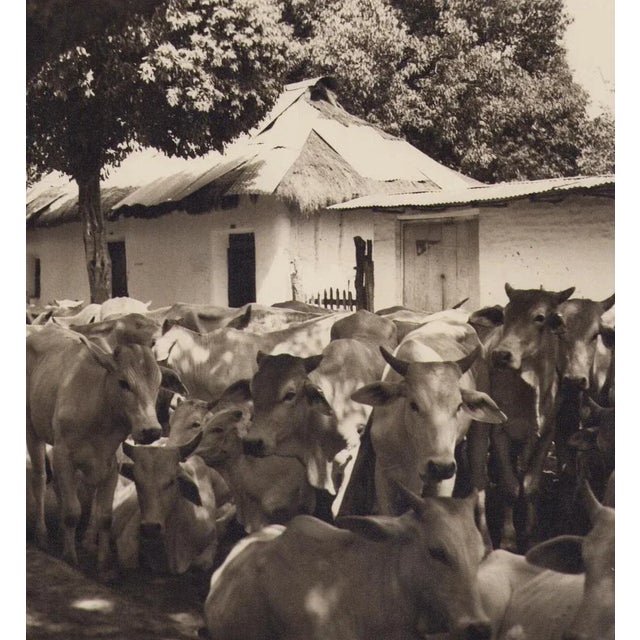 Hanna Seidel (1925 to 2005) lived and worked in Argentina for many years. She was a world traveller, journeying to South...