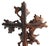 Wood Antique 19th Century Black Forest Hand-Carved Wooden Cross With Birds and Acorns For Sale - Image 7 of 14