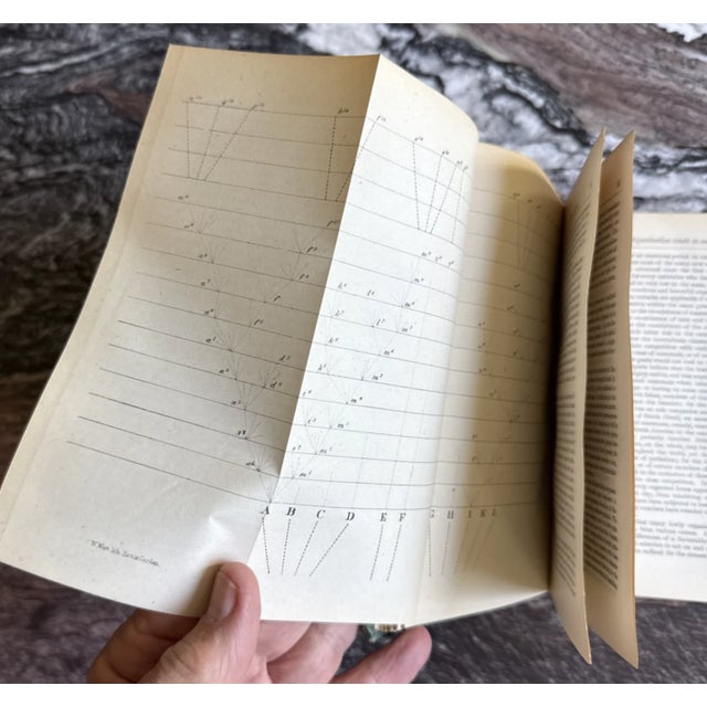 Charles Darwin the Origin of Species 1875 London Sixth Ed. Fifteenth Thousand. For Sale - Image 10 of 17