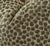 Mid-Century Modern Pair of Kravet Thom Filicia Flurries Forest Green Velvet 22" Pillows For Sale - Image 3 of 4