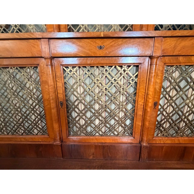 Austrian Biedermeier Figured Maple & Brass-Grille Bookcase, Circa 1840 For Sale In New York - Image 6 of 10