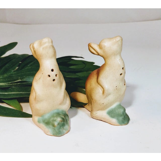 Kangaroo Rosemeade Salt & Pepper Shakers - A Pair For Sale - Image 4 of 7