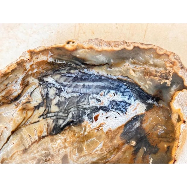 Twisted Agate Ashtray, 1960 For Sale - Image 6 of 8