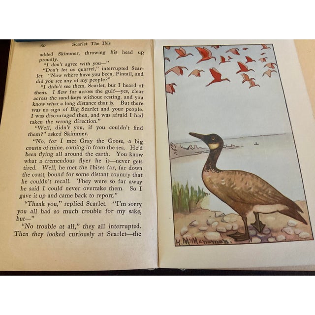 Rare Early 20th Century Book by George E. Walsh Titled Scarlet the Ibis Circa 1918 For Sale In Palm Springs - Image 6 of 9