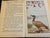 Rare Early 20th Century Book by George E. Walsh Titled Scarlet the Ibis Circa 1918 For Sale In Palm Springs - Image 6 of 9