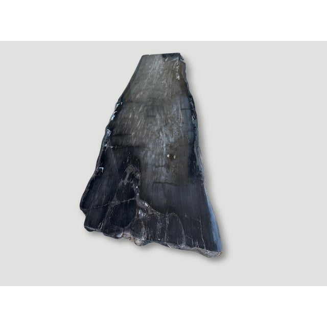 Andrianna Shamaris Exquisite High Quality Petrified Wood Dining Table Or Console For Sale - Image 13 of 18